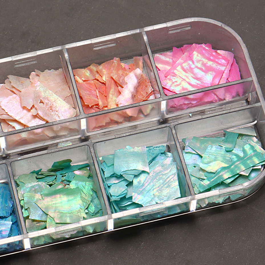 12 kisi serpihan kerang abalon - Tech Accessories Box ulasan dan harga