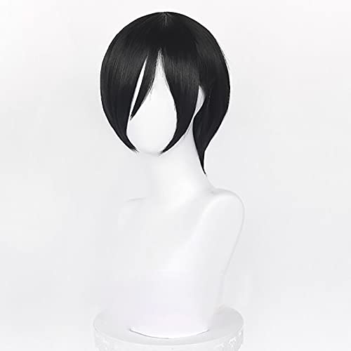 Wig Cosplay Mikasa Ada Pria Wa - Tech Accessories For Men ulasan dan harga